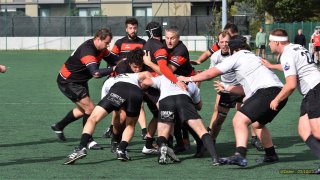 16-34.jpg - JPEG - 274.8 ko - 1250×986 px