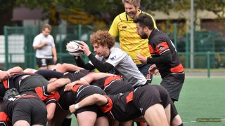 29-29.jpg - JPEG - 136.1 ko - 1000×650 px