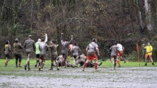 dsc02625-avec_accentuation-bruit.jpg - JPEG - 554.6 ko - 2000×1125 px