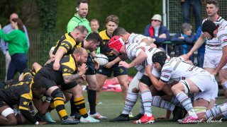 img_4201-2.jpg - JPEG - 438.5 ko - 2000×1125 px