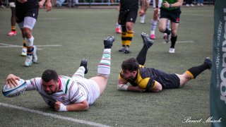 img_4259-3.jpg - JPEG - 417 ko - 2000×1125 px