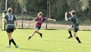 gp5f3595.jpg - JPEG - 502.7 ko - 2000×1133 px