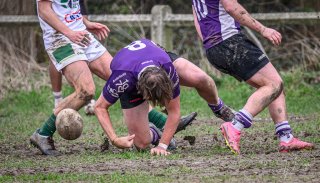 _nz81106-avec_accentuation-bruit.jpg - JPEG - 242.3 ko - 1024×583 px