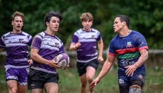 _nz85559.jpg - JPEG - 161.7 ko - 1024×585 px