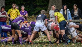 _nz86701.jpg - JPEG - 244.8 ko - 1024×583 px