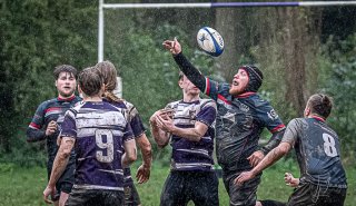 29102023-_nz85086-avec_accentuation-bruit.jpg - JPEG - 266 ko - 1024×591 px