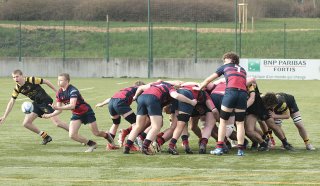 gp5f0868.jpg - JPEG - 486.9 ko - 2000×1160 px