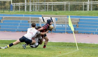 gp5f5235.jpg - JPEG - 412.3 ko - 2000×1164 px