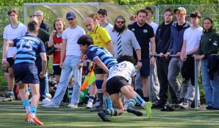 img_0274-3.jpg - JPEG - 435 ko - 2000×1167 px