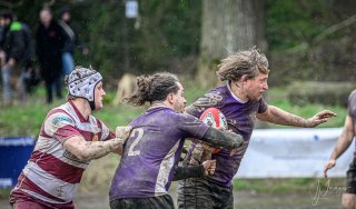 _nz82220-avec_accentuation-bruit.jpg - JPEG - 176.6 ko - 1024×601 px