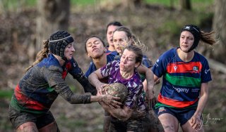 _nz88648.jpg - JPEG - 183.3 ko - 1024×600 px