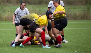 img_7110.jpg - JPEG - 338.6 ko - 2000×1175 px