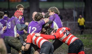 z63_6875.jpg - JPEG - 191.4 ko - 1024×604 px