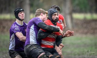 _nz87785.jpg - JPEG - 159.4 ko - 1024×611 px