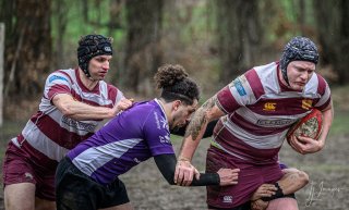 _nz81858-avec_accentuation-bruit.jpg - JPEG - 185.5 ko - 1024×615 px