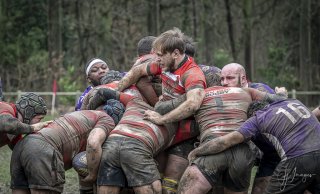 04022024-_nz88094-avec_accentuation-bruit.jpg - JPEG - 610 ko - 1024×619 px