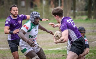 _nz80862-avec_accentuation-bruit.jpg - JPEG - 179.3 ko - 1024×626 px