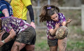 _nz88673.jpg - JPEG - 191 ko - 1024×625 px