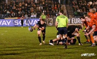 dsc_7919-3.jpg - JPEG - 377.2 ko - 1500×917 px