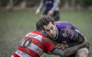 04022024-_nz88083-avec_accentuation-bruit.jpg - JPEG - 472.7 ko - 1024×628 px