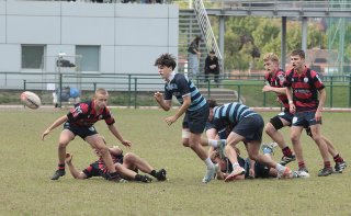 gp5f3256.jpg - JPEG - 438.3 ko - 2000×1228 px