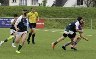 _46a2843.jpg - JPEG - 411.6 ko - 2000×1237 px