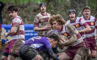 _nz82338-avec_accentuation-bruit.jpg - JPEG - 202.9 ko - 1024×634 px