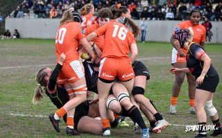 dsc_1008-4.jpg - JPEG - 595.8 ko - 2000×1241 px