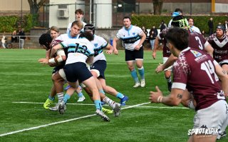 dsc_2530-2.jpg - JPEG - 281.4 ko - 2000×1325 px