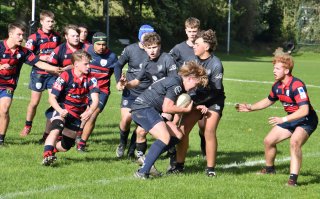 dsc_3205-4.jpg - JPEG - 375.2 ko - 1500×931 px