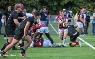 img_9117.jpg - JPEG - 445 ko - 2000×1250 px