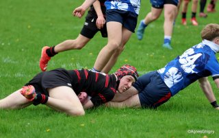 107-bj8a8411.jpg - JPEG - 233.5 ko - 1500×939 px