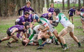 _nz81197-avec_accentuation-bruit.jpg - JPEG - 307.2 ko - 1024×641 px