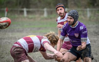 _nz81886-avec_accentuation-bruit.jpg - JPEG - 167.3 ko - 1024×642 px