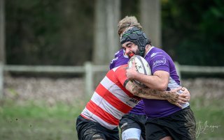 _nz87722.jpg - JPEG - 136.2 ko - 1024×642 px