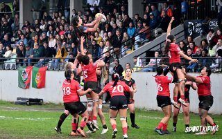 dsc_2715-2.jpg - JPEG - 719 ko - 2000×1252 px