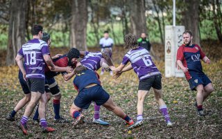 z63_5812.jpg - JPEG - 268.4 ko - 1024×642 px