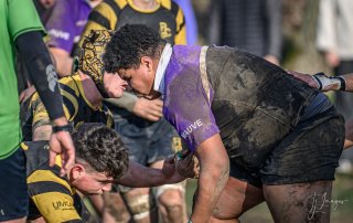 _nz88017.jpg - JPEG - 187.1 ko - 1024×646 px