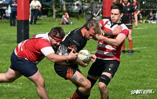 dsc_3553-4.jpg - JPEG - 586.2 ko - 2000×1259 px