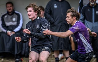 _nz86071.jpg - JPEG - 155.5 ko - 1024×649 px