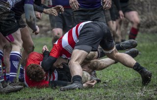 04022024-_nz87861-avec_accentuation-bruit.jpg - JPEG - 666.2 ko - 1024×651 px