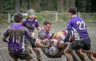 _nz82499-avec_accentuation-bruit.jpg - JPEG - 211.8 ko - 1024×650 px