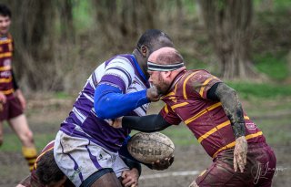 _nz81375-avec_accentuation-bruit.jpg - JPEG - 174.9 ko - 1024×655 px