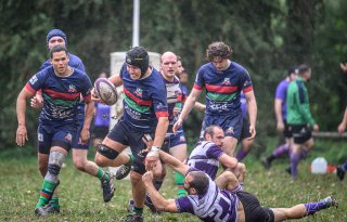 _nz85600.jpg - JPEG - 229.3 ko - 1024×654 px