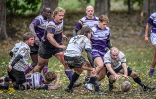 _nz85950.jpg - JPEG - 273.1 ko - 1024×655 px