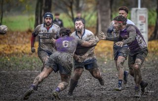 _nz87442.jpg - JPEG - 212.3 ko - 1024×656 px