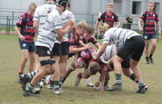 gp5f1539.jpg - JPEG - 468.2 ko - 2000×1277 px