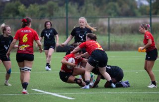 img_7235.jpg - JPEG - 356.2 ko - 2000×1281 px