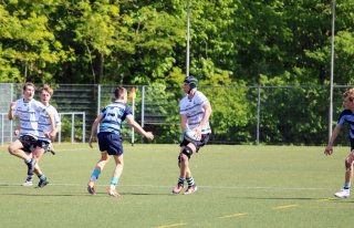 img_0209-3.jpg - JPEG - 484.2 ko - 2000×1285 px