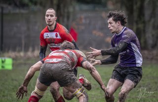 04022024-_nz88010-avec_accentuation-bruit.jpg - JPEG - 556.5 ko - 1024×660 px